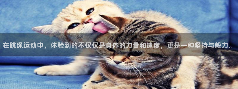bbin视讯游戏平台：在跳绳运动中，体验到的不仅仅是身体的力量和速度，更是一种坚持与毅力。