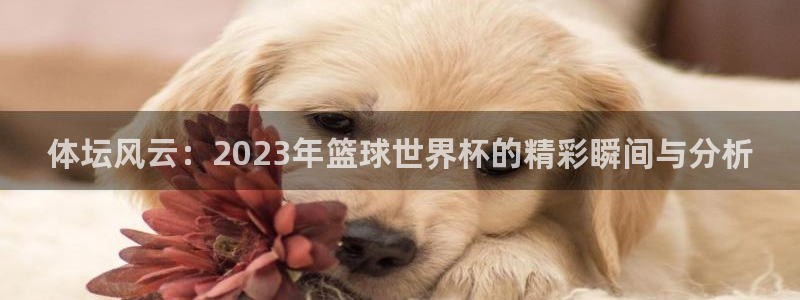 bbin视讯游戏官网：体坛风云：2023年篮球世界杯的精彩瞬间与分析