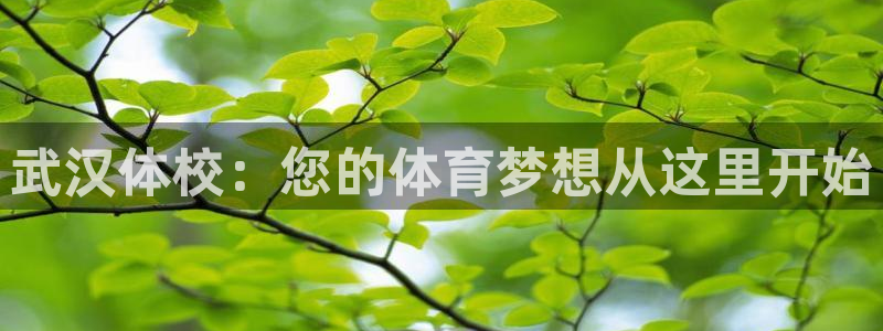 bbin视讯：武汉体校：您的体育梦想从这里开始