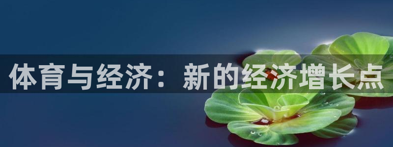 bbin视讯游戏平台：体育与经济：新的经济增长点
