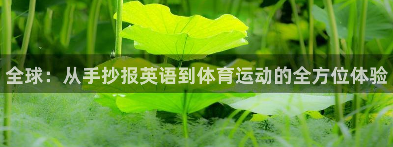 bbin视讯游戏平台：全球：从手抄报英语到体育运动的全方位体验