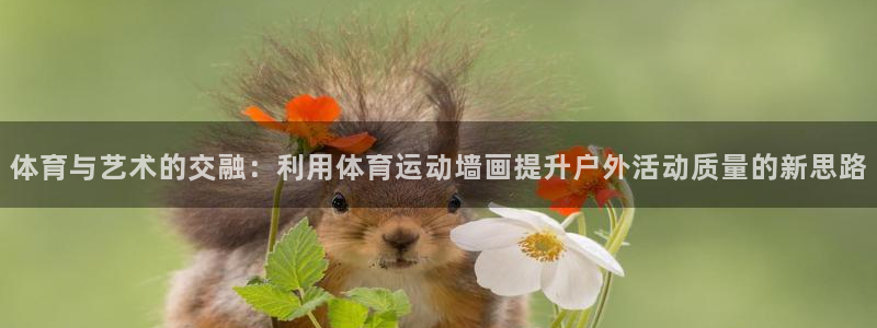 bbin视讯游戏平台