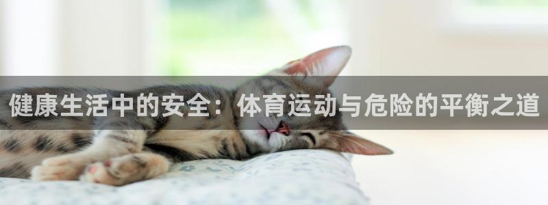 bbin视讯游戏官网