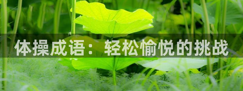 bbin视讯游戏官网