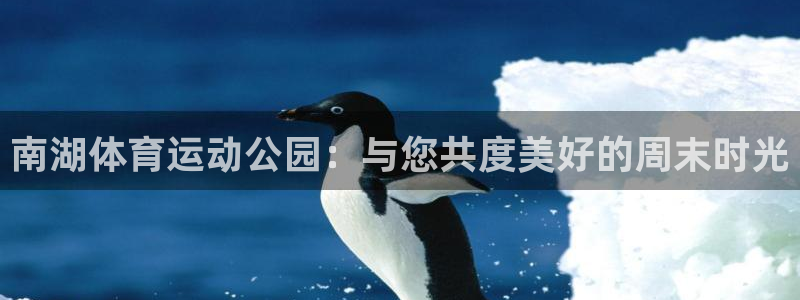 bbin视讯游戏平台