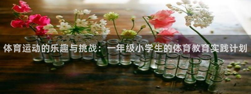 bbin视讯游戏官网：体育运动的乐趣与挑战：一年级小学生的体育教育实践计划