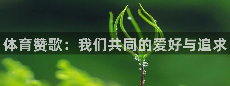 bbin视讯下：体育赞歌：我们共同的爱好与追求