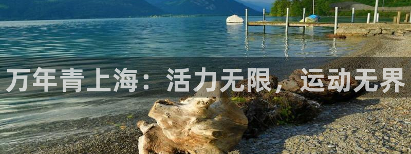 emc易倍体育官网下载平台是正规平台吗