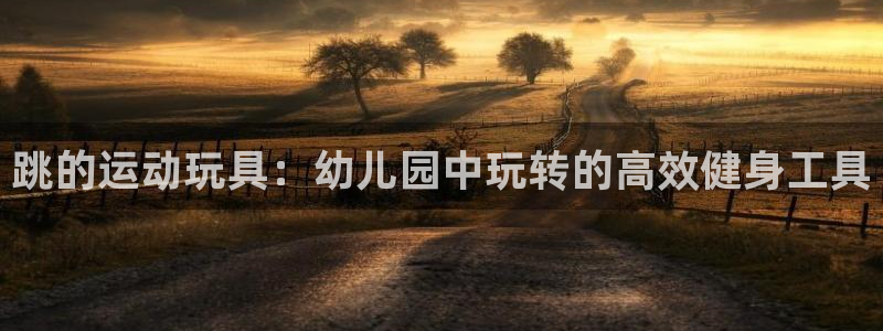 emc易倍体育官方正版app娱乐代理怎么样：跳的运动玩具：幼