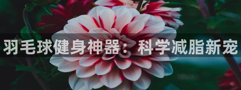 emc易倍体育官网下载平台注册要钱吗安全吗：羽毛球健身神器：