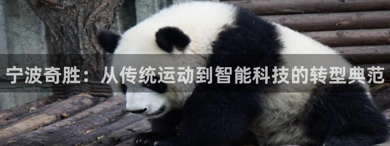 emc易倍体育官方正版app集团logo：宁波奇胜：