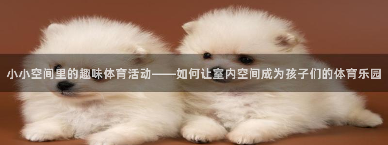 emc易倍体育官方正版app新能源：小小空间里的趣味体育活动