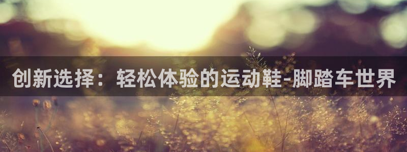 emc易倍体育官方正版app娱乐代理怎么样：创新选择：轻松体